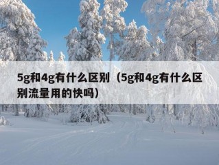 5g和4g有什么区别（5g和4g有什么区别流量用的快吗）