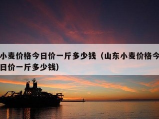 小麦价格今日价一斤多少钱（山东小麦价格今日价一斤多少钱）