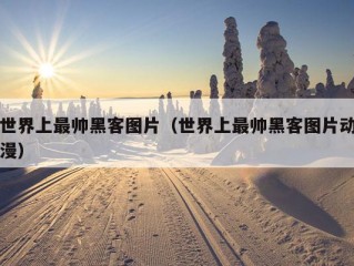 世界上最帅黑客图片（世界上最帅黑客图片动漫）