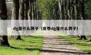 dg是什么牌子（皮带dg是什么牌子）