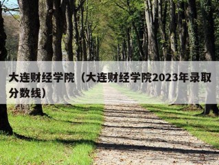 大连财经学院（大连财经学院2023年录取分数线）