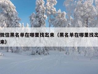 微信黑名单在哪里找出来（黑名单在哪里找出来）