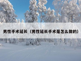 男性手术延长（男性延长手术是怎么做的）