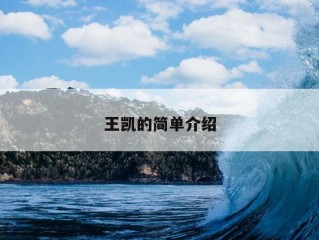 王凯的简单介绍