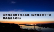 安吉白茶是属于什么茶类（安吉白茶属于什么茶类有什么功效）