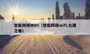 智能网络WIFI（智能网络wifi,北国之春）