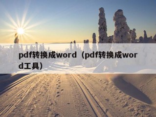 pdf转换成word（pdf转换成word工具）