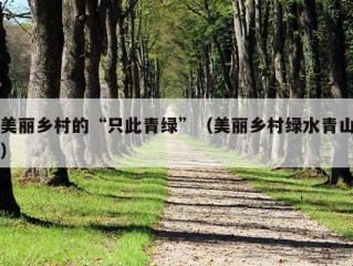 美丽乡村的“只此青绿”（美丽乡村绿水青山）