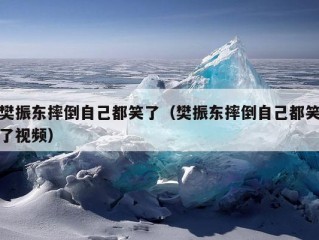 樊振东摔倒自己都笑了（樊振东摔倒自己都笑了视频）