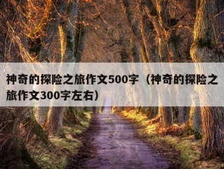 神奇的探险之旅作文500字（神奇的探险之旅作文300字左右）