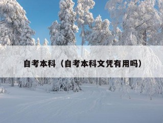 自考本科（自考本科文凭有用吗）