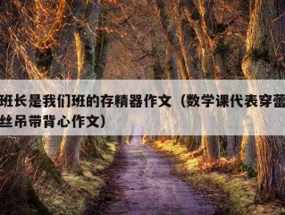 班长是我们班的存精器作文（数学课代表穿蕾丝吊带背心作文）