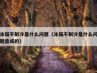 冰箱不制冷是什么问题（冰箱不制冷是什么问题造成的）