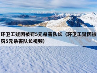 环卫工疑因被罚5元杀害队长（环卫工疑因被罚5元杀害队长视频）