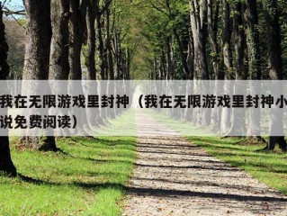 我在无限游戏里封神（我在无限游戏里封神小说免费阅读）