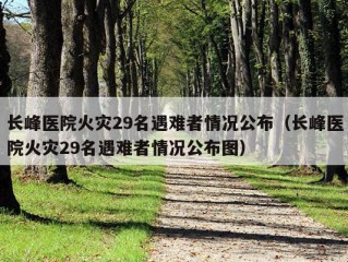 长峰医院火灾29名遇难者情况公布（长峰医院火灾29名遇难者情况公布图）