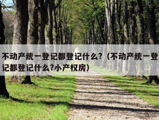 不动产统一登记都登记什么?（不动产统一登记都登记什么?小产权房）