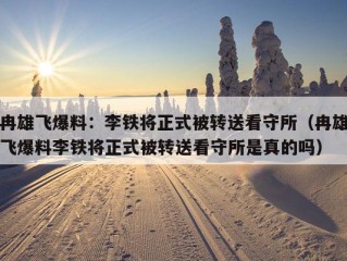 冉雄飞爆料：李铁将正式被转送看守所（冉雄飞爆料李铁将正式被转送看守所是真的吗）