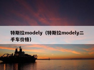 特斯拉modely（特斯拉modely二手车价格）