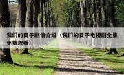 我们的日子剧情介绍（我们的日子电视剧全集免费观看）