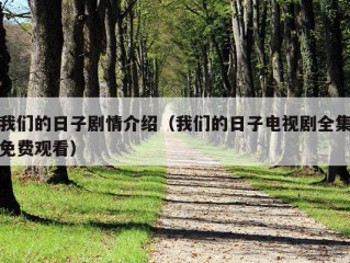 我们的日子剧情介绍（我们的日子电视剧全集免费观看）