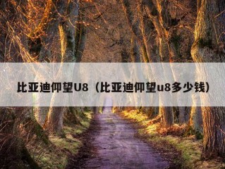 比亚迪仰望U8（比亚迪仰望u8多少钱）