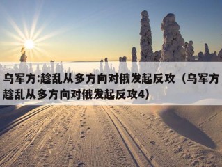 乌军方:趁乱从多方向对俄发起反攻（乌军方趁乱从多方向对俄发起反攻4）