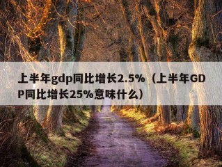 上半年gdp同比增长2.5%（上半年GDP同比增长25%意味什么）