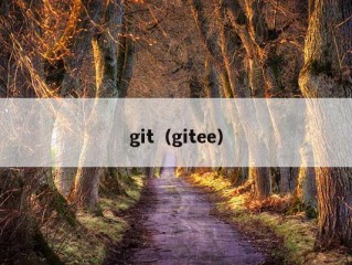 git（gitee）