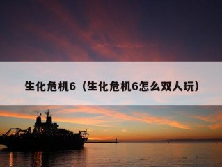 生化危机6（生化危机6怎么双人玩）