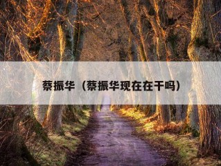 蔡振华（蔡振华现在在干吗）