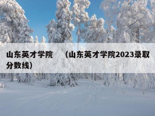 山东英才学院　（山东英才学院2023录取分数线）