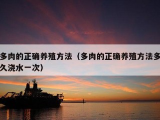 多肉的正确养殖方法（多肉的正确养殖方法多久浇水一次）