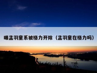 曝孟羽童系被格力开除（孟羽童在格力吗）