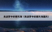 肖战梦中的那片海（肖战梦中的那片海图片）