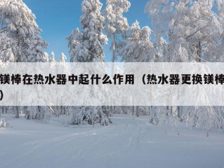 镁棒在热水器中起什么作用（热水器更换镁棒）