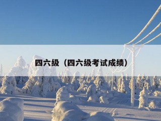 四六级（四六级考试成绩）