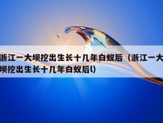 浙江一大坝挖出生长十几年白蚁后（浙江一大坝挖出生长十几年白蚁后l）