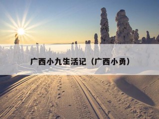 广西小九生活记（广西小勇）