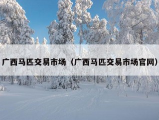 广西马匹交易市场（广西马匹交易市场官网）