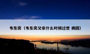 韦东奕（韦东奕父亲什么时候过世 病因）