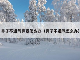 鼻子不通气鼻塞怎么办（鼻子不通气怎么办）