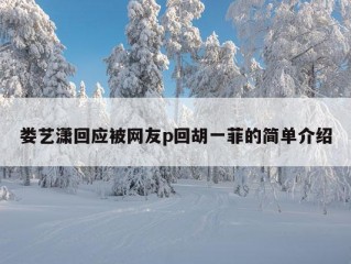 娄艺潇回应被网友p回胡一菲的简单介绍