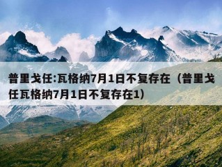 普里戈任:瓦格纳7月1日不复存在（普里戈任瓦格纳7月1日不复存在1）