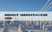 湖南科技大学（湖南科技大学2023年录取分数线）