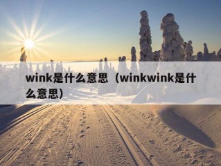 wink是什么意思（winkwink是什么意思）