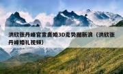 洪欣张丹峰官宣离婚3D走势图新浪（洪欣张丹峰婚礼视频）