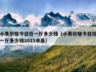 小麦价格今日价一斤多少钱（小麦价格今日价一斤多少钱2023单县）