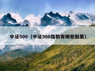 中证500（中证500指数有哪些股票）