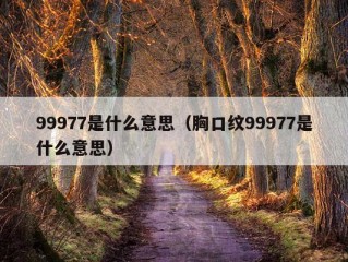 99977是什么意思（胸口纹99977是什么意思）